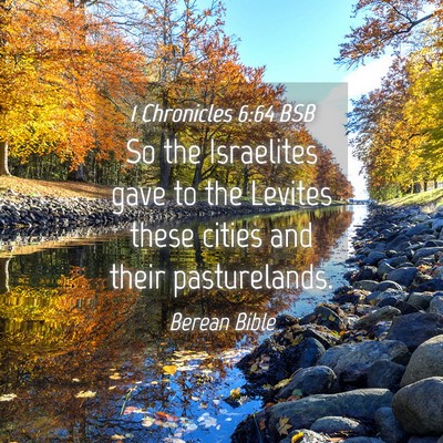 Picture 04 - 1 Chronicles 6:64 BSB - So the Israelites gave to the Levites these - Bible Verse Picture