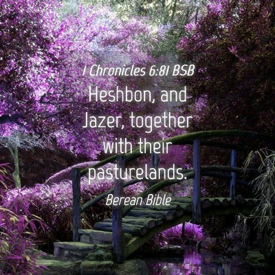 Picture 04 - 1 Chronicles 6:81 BSB - Heshbon, and Jazer, together with their - Bible Verse Picture
