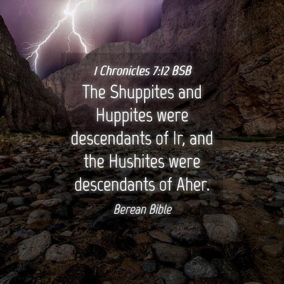 Picture 04 - 1 Chronicles 7:12 BSB - The Shuppites and Huppites were descendants of - Bible Verse Picture