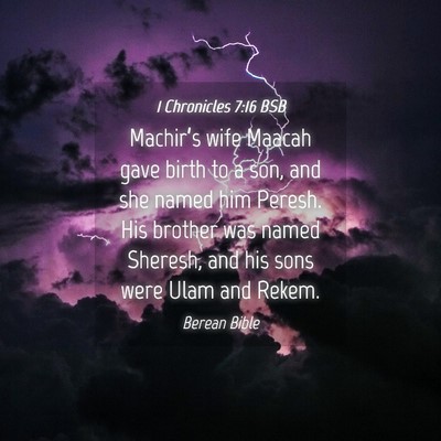 Picture 04 - 1 Chronicles 7:16 BSB - Machir’s wife Maacah gave birth to a son, and - Bible Verse Picture