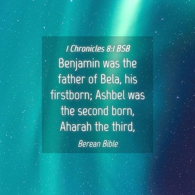 Picture 04 - 1 Chronicles 8:1 BSB - Benjamin was the father of Bela, his firstborn; - Bible Verse Picture