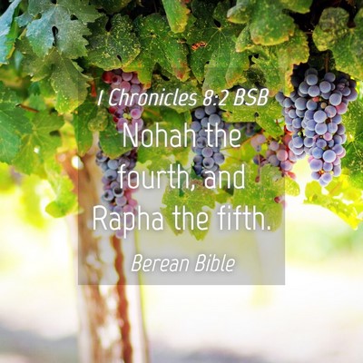 Picture 04 - 1 Chronicles 8:2 BSB - Nohah the fourth, and Rapha the - Bible Verse Picture