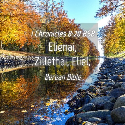 Picture 04 - 1 Chronicles 8:20 BSB - Elienai, Zillethai, - Bible Verse Picture