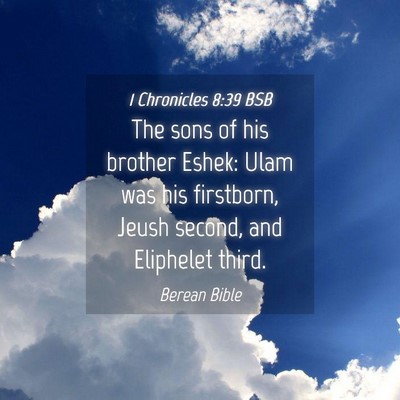 Picture 04 - 1 Chronicles 8:39 BSB - The sons of his brother Eshek: Ulam was his - Bible Verse Picture