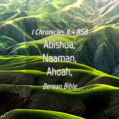 Picture 04 - 1 Chronicles 8:4 BSB - Abishua, Naaman, - Bible Verse Picture