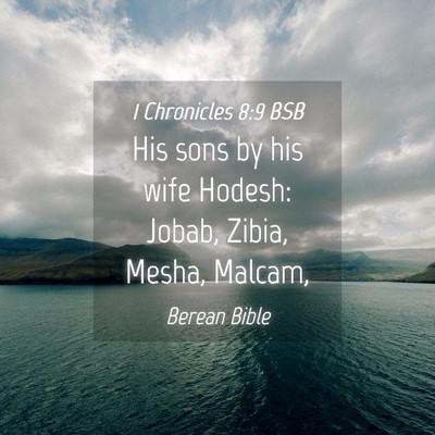 Picture 04 - 1 Chronicles 8:9 BSB - His sons by his wife Hodesh: Jobab, Zibia, Mesha, - Bible Verse Picture