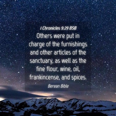 Picture 04 - 1 Chronicles 9:29 BSB - Others were put in charge of the furnishings and - Bible Verse Picture