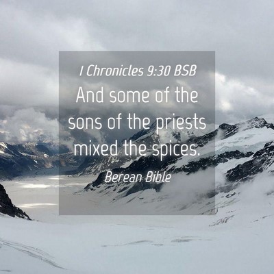 Picture 04 - 1 Chronicles 9:30 BSB - And some of the sons of the priests mixed the - Bible Verse Picture