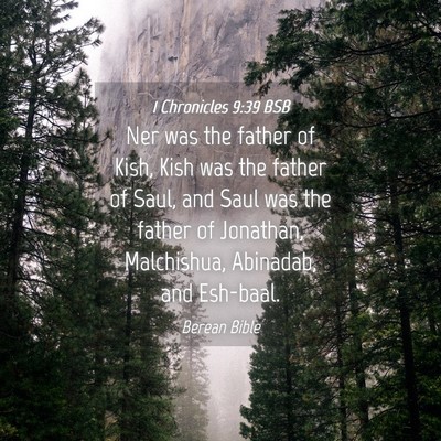 Picture 04 - 1 Chronicles 9:39 BSB - Ner was the father of Kish, Kish was the father - Bible Verse Picture