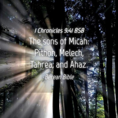 Picture 04 - 1 Chronicles 9:41 BSB - The sons of Micah: Pithon, Melech, Tahrea, and - Bible Verse Picture