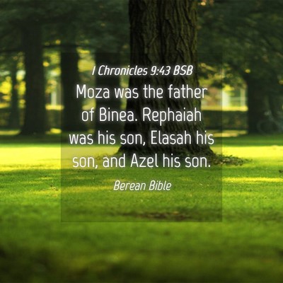 Picture 04 - 1 Chronicles 9:43 BSB - Moza was the father of Binea. Rephaiah was his - Bible Verse Picture