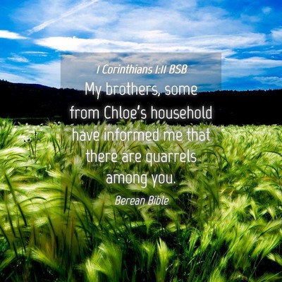 Picture 04 - 1 Corinthians 1:11 BSB - My brothers, some from Chloe’s household have - Bible Verse Picture
