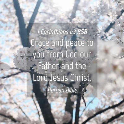 Picture 04 - 1 Corinthians 1:3 BSB - Grace and peace to you from God our Father and - Bible Verse Picture