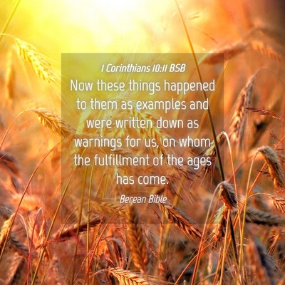 Picture 04 - 1 Corinthians 10:11 BSB - Now these things happened to them as examples and - Bible Verse Picture