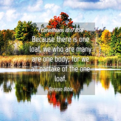 Picture 04 - 1 Corinthians 10:17 BSB - Because there is one loaf, we who are many are - Bible Verse Picture