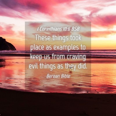 Picture 04 - 1 Corinthians 10:6 BSB - These things took place as examples to keep us - Bible Verse Picture