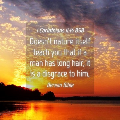 Picture 04 - 1 Corinthians 11:14 BSB - Doesn’t nature itself teach you that if a man - Bible Verse Picture