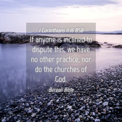 Picture 04 - 1 Corinthians 11:16 BSB - If anyone is inclined to dispute this, we have no - Bible Verse Picture