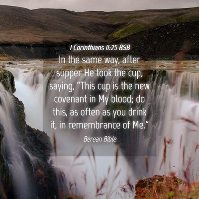 Picture 04 - 1 Corinthians 11:25 BSB - In the same way, after supper He took the cup, - Bible Verse Picture