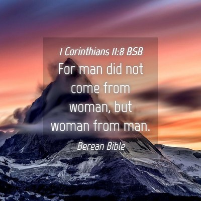 Picture 04 - 1 Corinthians 11:8 BSB - For man did not come from woman, but woman from - Bible Verse Picture