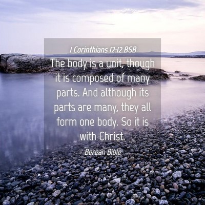 Picture 04 - 1 Corinthians 12:12 BSB - The body is a unit, though it is composed of many - Bible Verse Picture