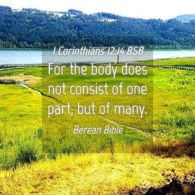 Picture 04 - 1 Corinthians 12:14 BSB - For the body does not consist of one part, but of - Bible Verse Picture