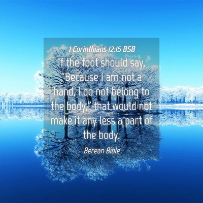 Picture 04 - 1 Corinthians 12:15 BSB - If the foot should say, “Because I am not a - Bible Verse Picture