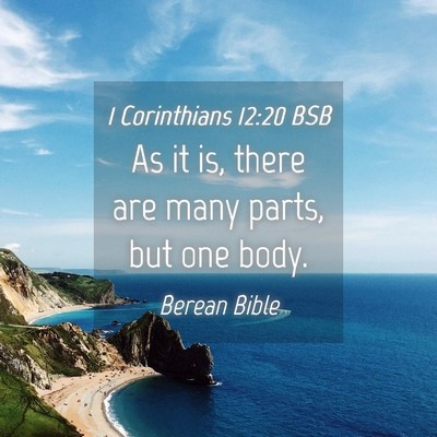 Picture 04 - 1 Corinthians 12:20 BSB - As it is, there are many parts, but one - Bible Verse Picture