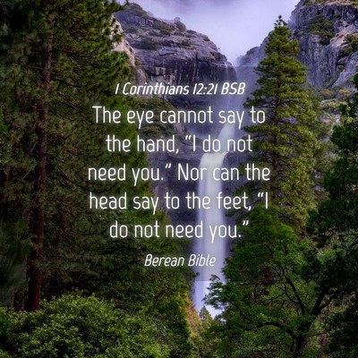 Picture 04 - 1 Corinthians 12:21 BSB - The eye cannot say to the hand, “I do not need - Bible Verse Picture
