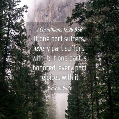 Picture 04 - 1 Corinthians 12:26 BSB - If one part suffers, every part suffers with it; - Bible Verse Picture
