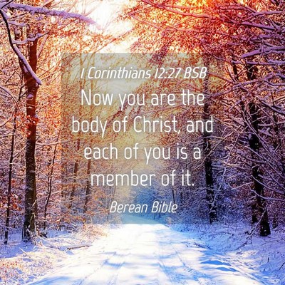 Picture 04 - 1 Corinthians 12:27 BSB - Now you are the body of Christ, and each of you - Bible Verse Picture