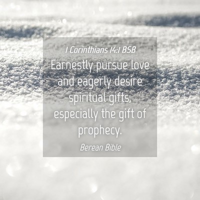 Picture 04 - 1 Corinthians 14:1 BSB - Earnestly pursue love and eagerly desire - Bible Verse Picture