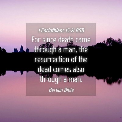Picture 04 - 1 Corinthians 15:21 BSB - For since death came through a man, the - Bible Verse Picture