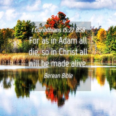 Picture 04 - 1 Corinthians 15:22 BSB - For as in Adam all die, so in Christ all will be - Bible Verse Picture