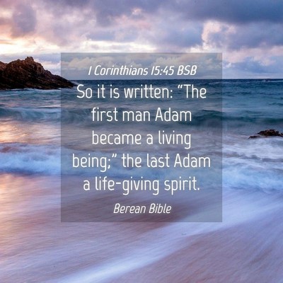 Picture 04 - 1 Corinthians 15:45 BSB - So it is written: “The first man Adam became a - Bible Verse Picture