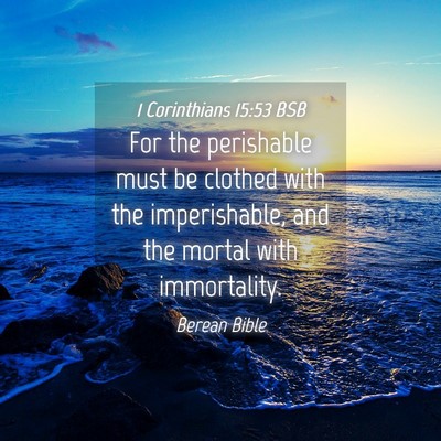Picture 04 - 1 Corinthians 15:53 BSB - For the perishable must be clothed with the - Bible Verse Picture