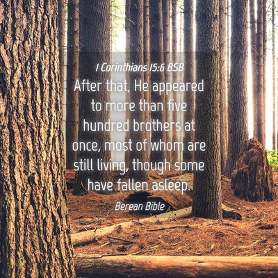 Picture 04 - 1 Corinthians 15:6 BSB - After that, He appeared to more than five hundred - Bible Verse Picture