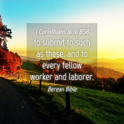 Picture 04 - 1 Corinthians 16:16 BSB - to submit to such as these, and to every fellow - Bible Verse Picture