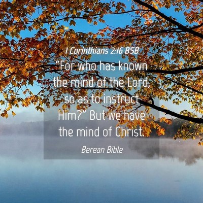 Picture 04 - 1 Corinthians 2:16 BSB - “For who has known the mind of the Lord, so as - Bible Verse Picture