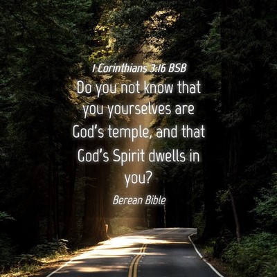 Picture 04 - 1 Corinthians 3:16 BSB - Do you not know that you yourselves are God’s - Bible Verse Picture