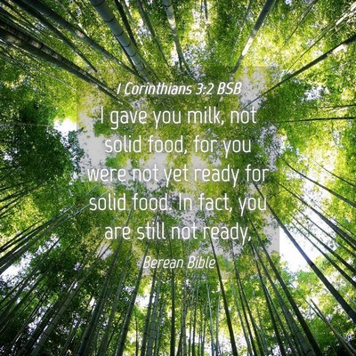 Picture 04 - 1 Corinthians 3:2 BSB - I gave you milk, not solid food, for you were not - Bible Verse Picture