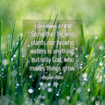 Picture 04 - 1 Corinthians 3:7 BSB - So neither he who plants nor he who waters is - Bible Verse Picture