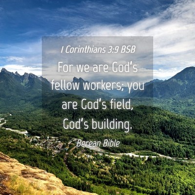 Picture 04 - 1 Corinthians 3:9 BSB - For we are God’s fellow workers; you are - Bible Verse Picture