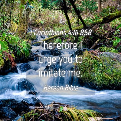 Picture 04 - 1 Corinthians 4:16 BSB - Therefore I urge you to imitate - Bible Verse Picture