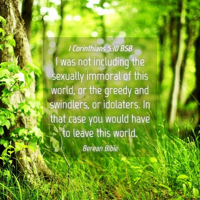 Picture 04 - 1 Corinthians 5:10 BSB - I was not including the sexually immoral of this - Bible Verse Picture