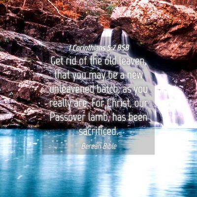 Picture 04 - 1 Corinthians 5:7 BSB - Get rid of the old leaven, that you may be a new - Bible Verse Picture