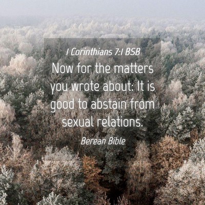 Picture 04 - 1 Corinthians 7:1 BSB - Now for the matters you wrote about: It is good - Bible Verse Picture