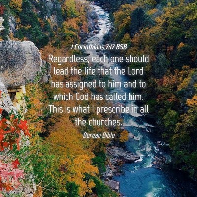 Picture 04 - 1 Corinthians 7:17 BSB - Regardless, each one should lead the life that - Bible Verse Picture
