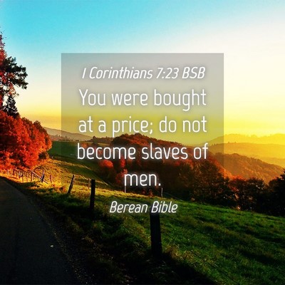 Picture 04 - 1 Corinthians 7:23 BSB - You were bought at a price; do not become slaves - Bible Verse Picture