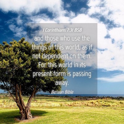 Picture 04 - 1 Corinthians 7:31 BSB - and those who use the things of this world, as if - Bible Verse Picture